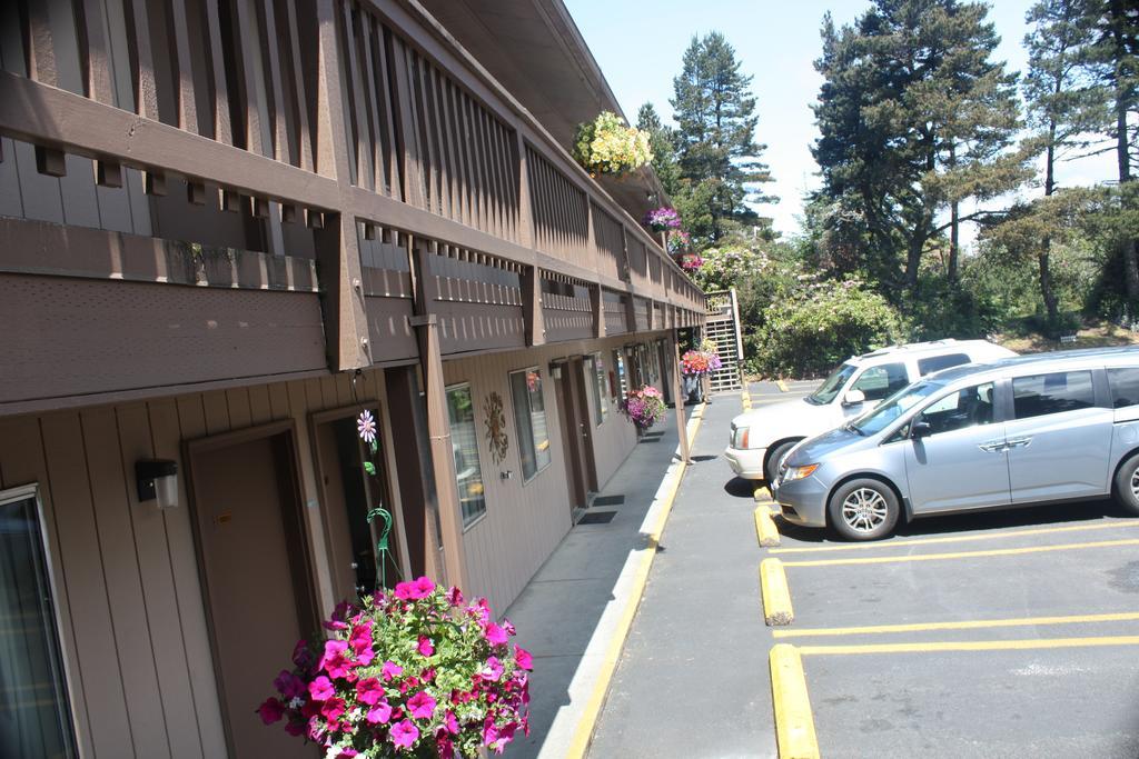 佛罗伦萨经济酒店 弗洛伦斯 外观 照片